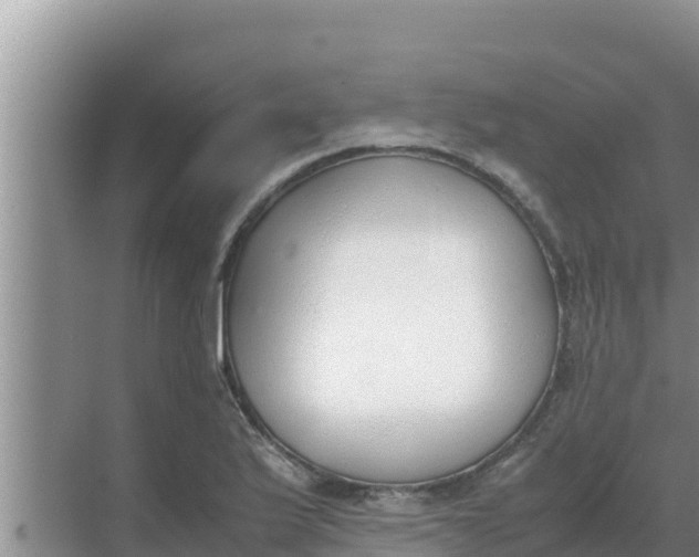 X0000069391175200605262109