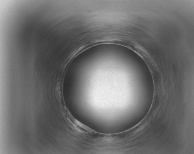 X0000069391177200605262108