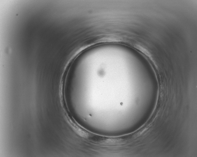 X0000069391179200605262108