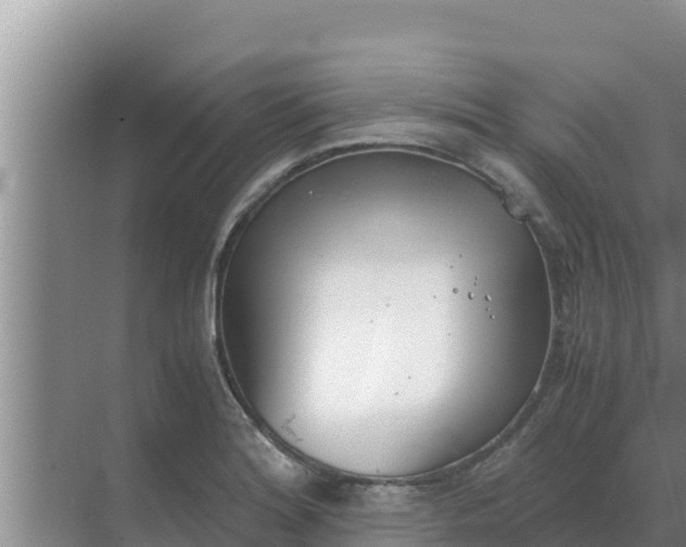 X0000069391180200605262108