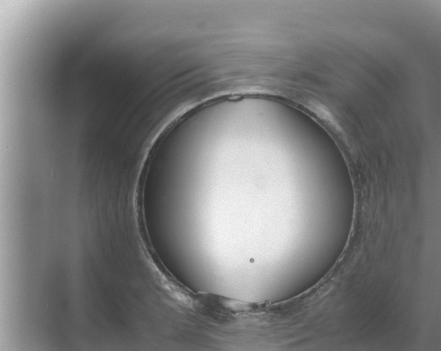 X0000069391181200605262108