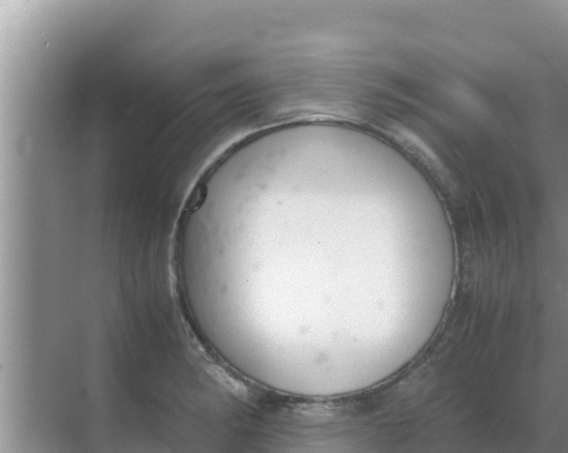 X0000069391182200605262108