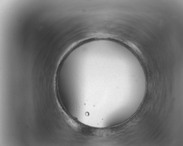 X0000069391183200605262108