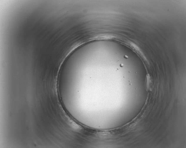 X0000069391186200605262108