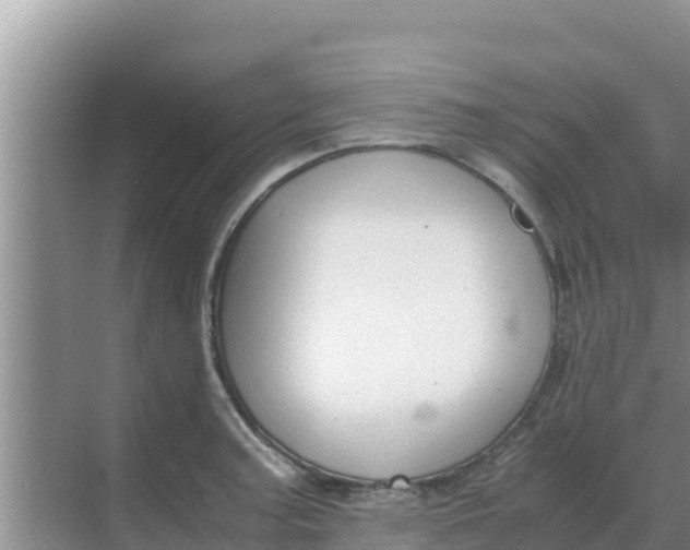 X0000069391187200605262108