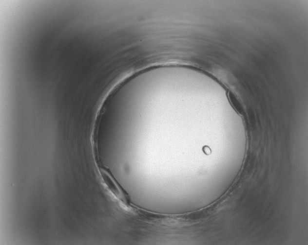 X0000069391189200605262108