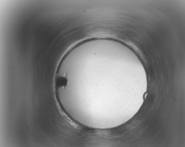 X0000069391191200605262108