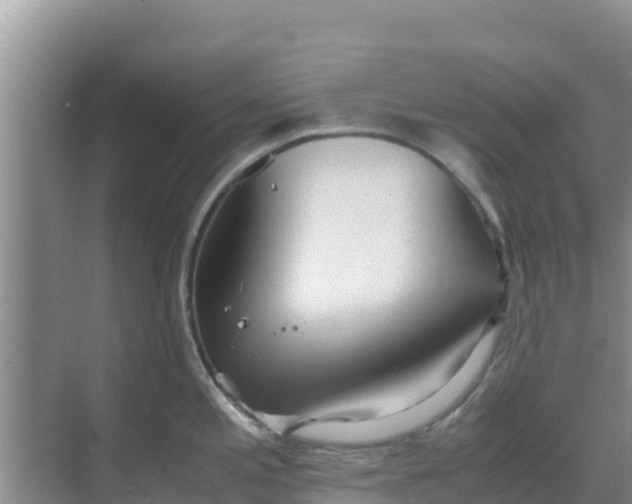 X0000069391197200605262108