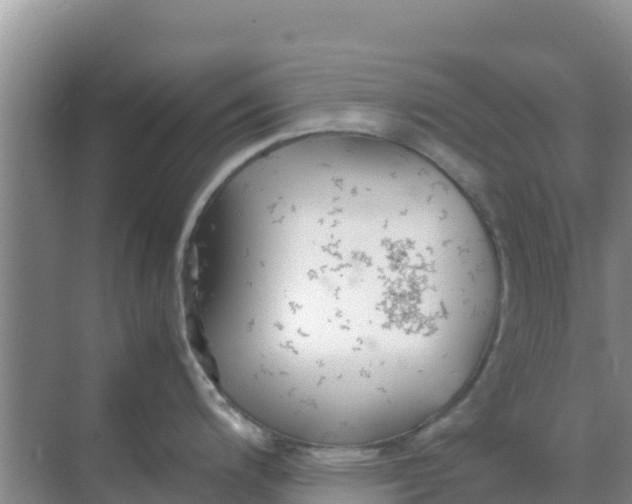 X0000069391200200605262108