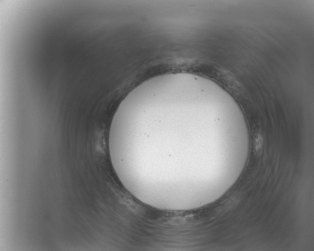 X0000069391204200605262107