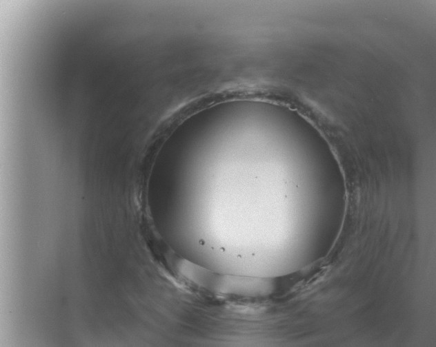 X0000069391206200605262107