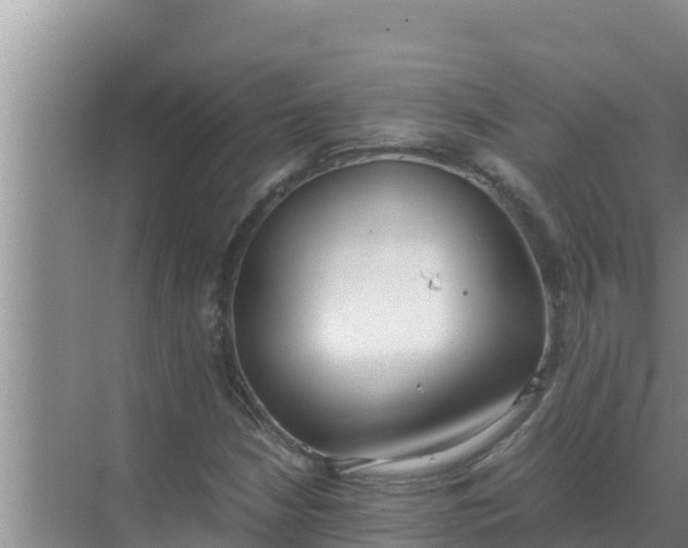 X0000069391210200605262107