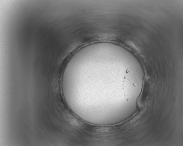 X0000069391211200605262107