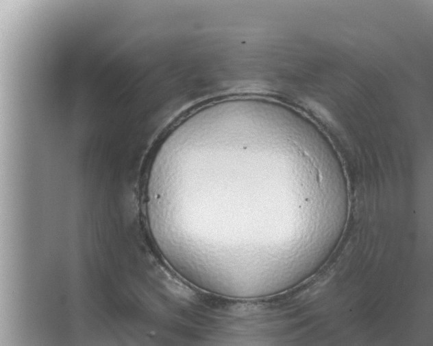 X0000069391212200605262107