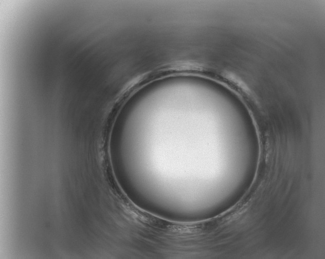 X0000069391213200605262107