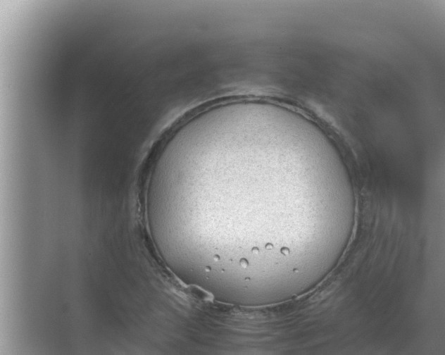 X0000069391215200605262107