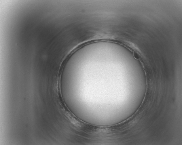 X0000069391220200605262108