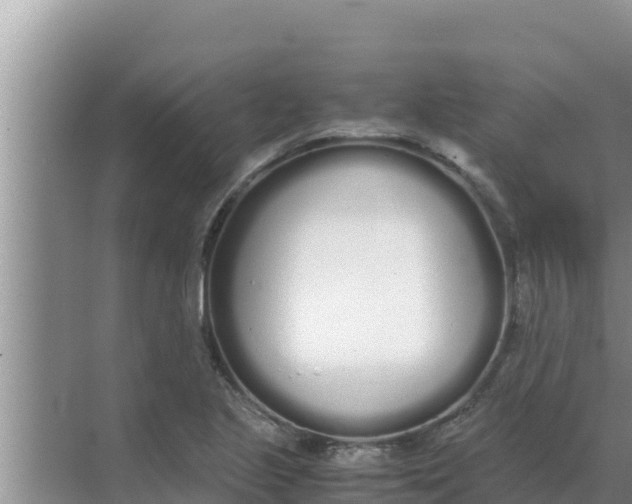 X0000069391221200605262108