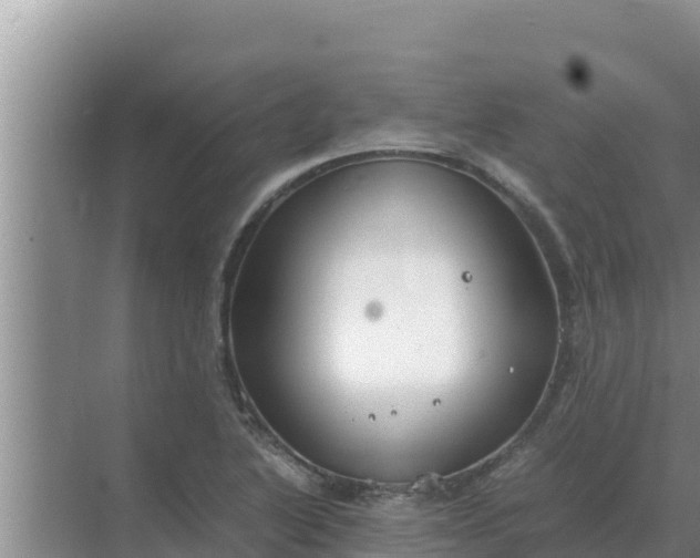 X0000069391222200605262108