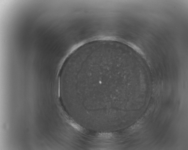 X0000069391223200605262108