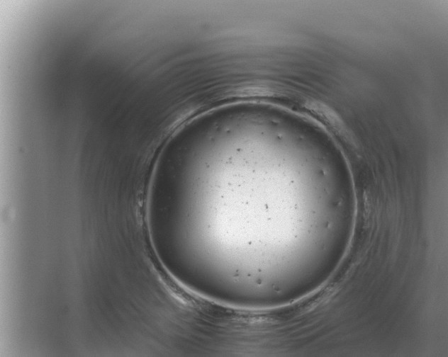 X0000069391225200605262108