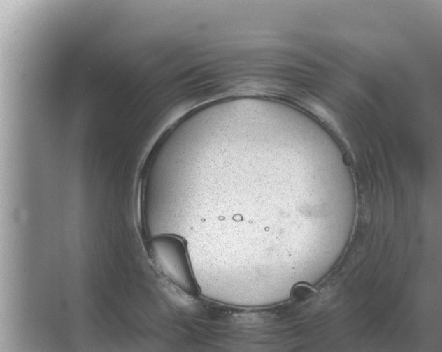 X0000069391227200605262108