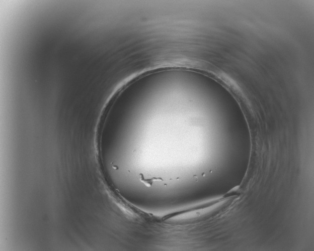 X0000069391230200605262108