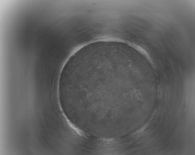 X0000069391231200605262108