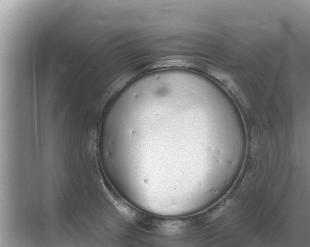 X0000069391233200605262108