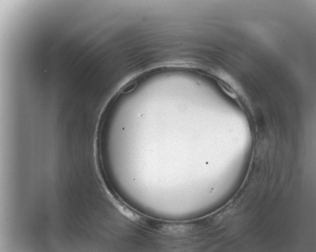 X0000069391237200605262108