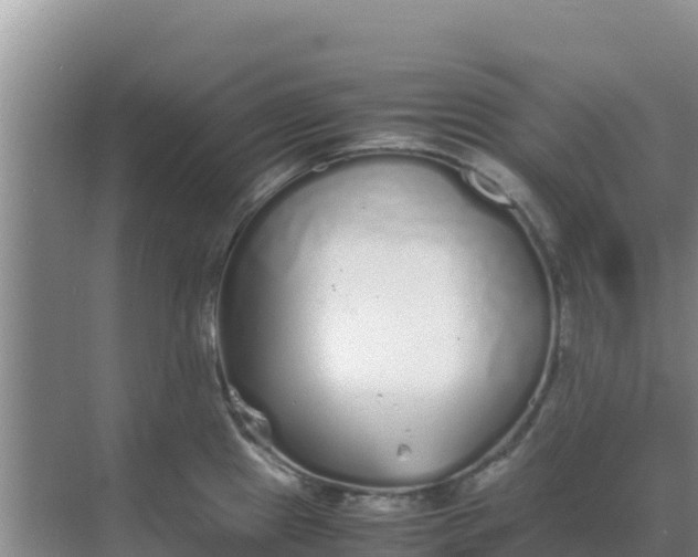 X0000069391241200605262108