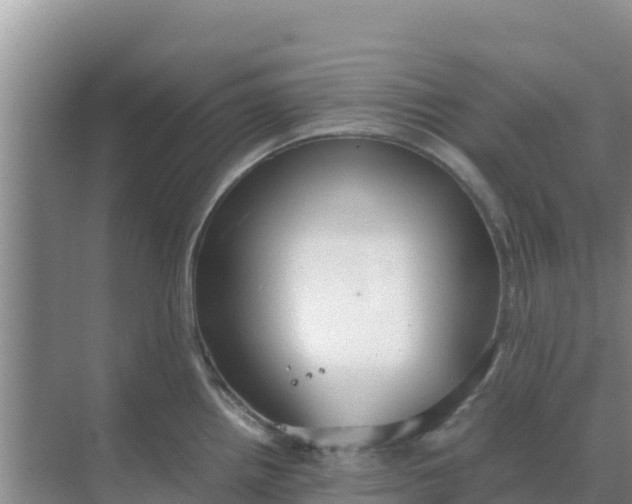 X0000069391242200605262108