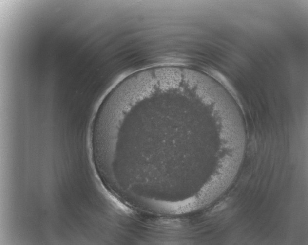 X0000069391243200605262108