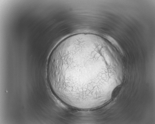 X0000069391244200605262108