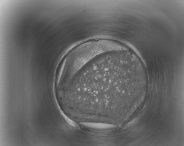 X0000069391245200605262108