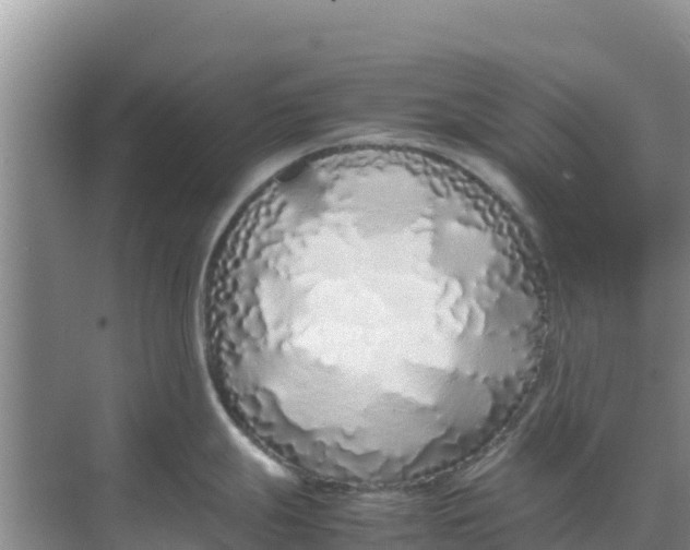 X0000069391247200605262108