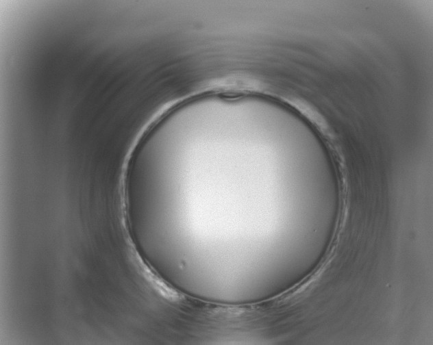 X0000069391248200605262108