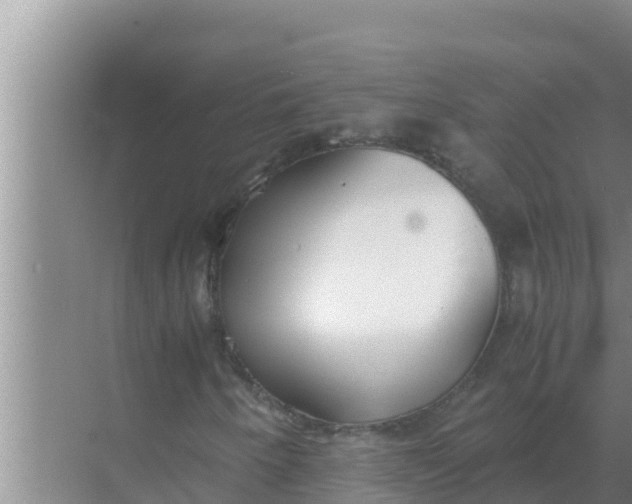 X0000069391250200605262107