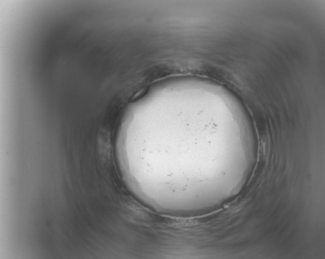 X0000069391251200605262107