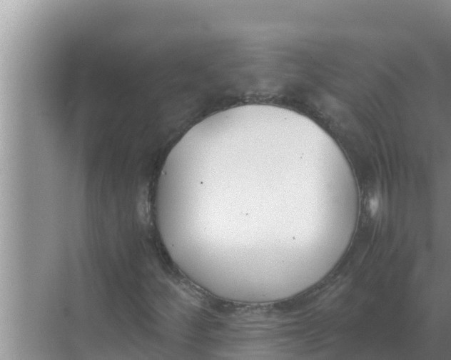 X0000069391252200605262107