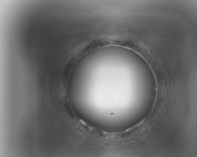 X0000069391253200605262107