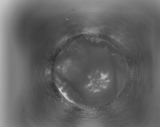 X0000069391254200605262107