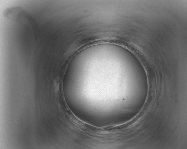 X0000069391257200605262107