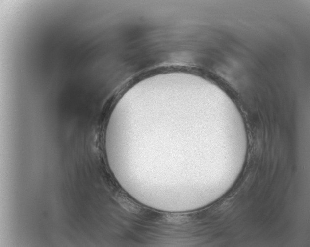 X0000069391258200605262107