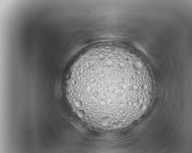 X0000069391259200605262107