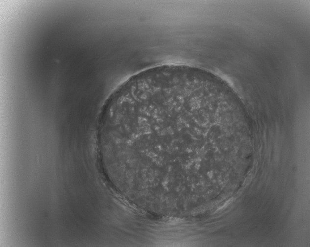 X0000069391263200605262107