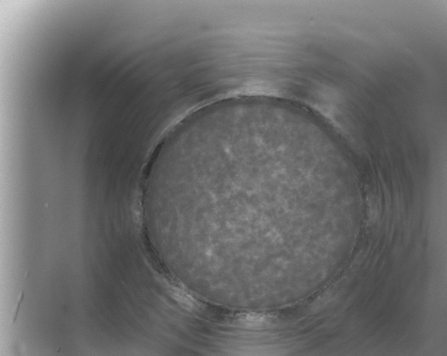 X0000069391266200605262107