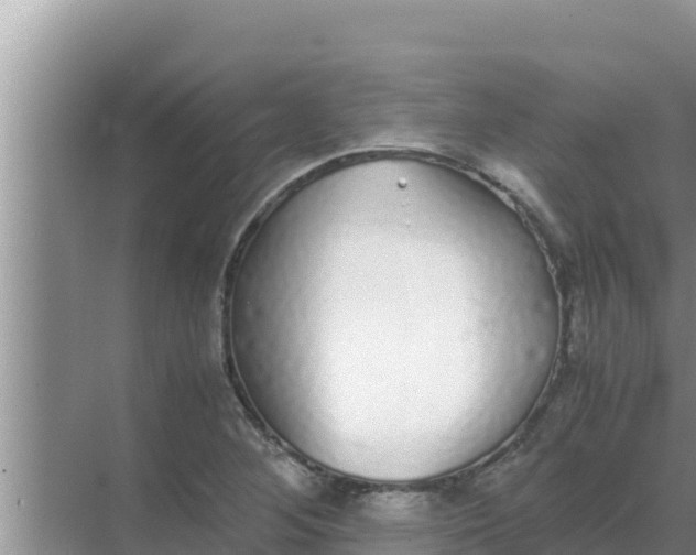 X0000069391268200605262107