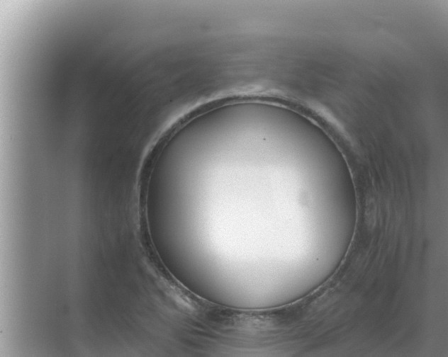 X0000069391270200605262107