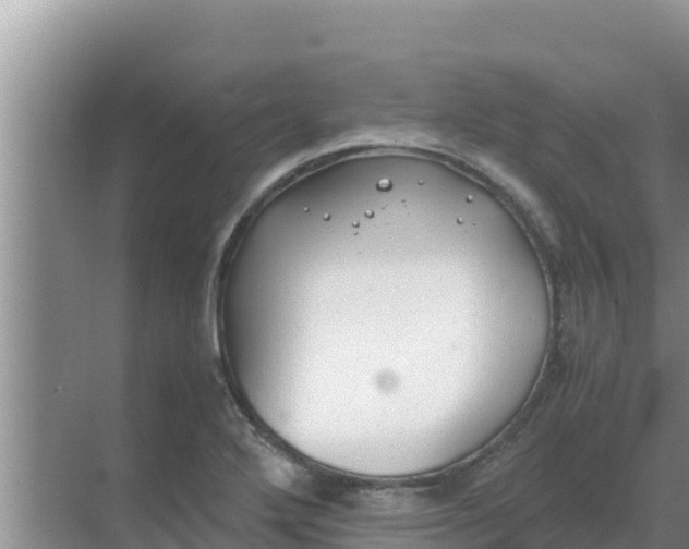 X0000069391272200605262107